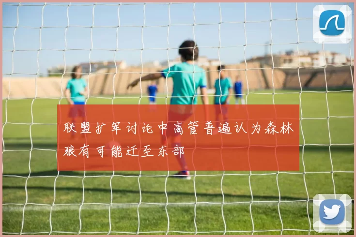 联盟扩军讨论中高管普遍认为森林狼有可能迁至东部